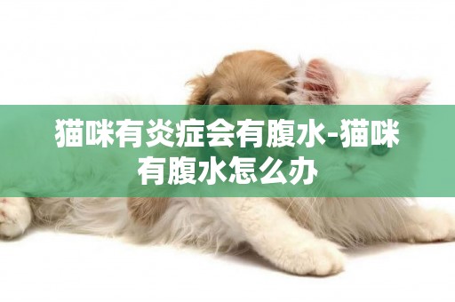 貓咪有炎癥會有腹水-貓咪有腹水怎么辦
