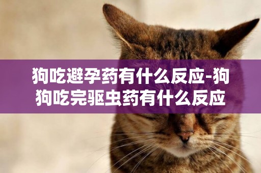狗吃避孕藥有什么反應-狗狗吃完驅蟲藥有什么反應