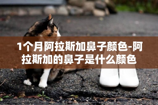 1個月阿拉斯加鼻子顏色-阿拉斯加的鼻子是什么顏色