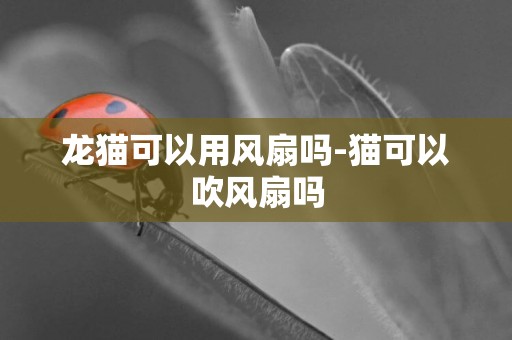 龍貓可以用風扇嗎-貓可以吹風扇嗎