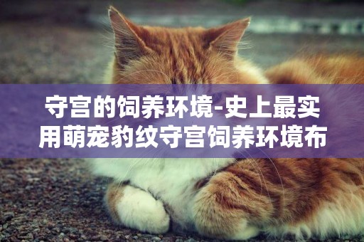 守宮的飼養環境-史上最實用萌寵豹紋守宮飼養環境布置