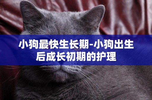 小狗最快生長期-小狗出生后成長初期的護理