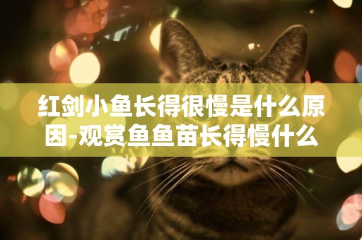 紅劍小魚長得很慢是什么原因-觀賞魚魚苗長得慢什么原因