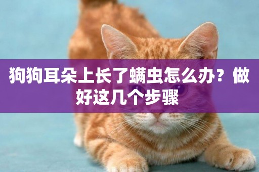 狗狗耳朵上長了螨蟲怎么辦？做好這幾個步驟 