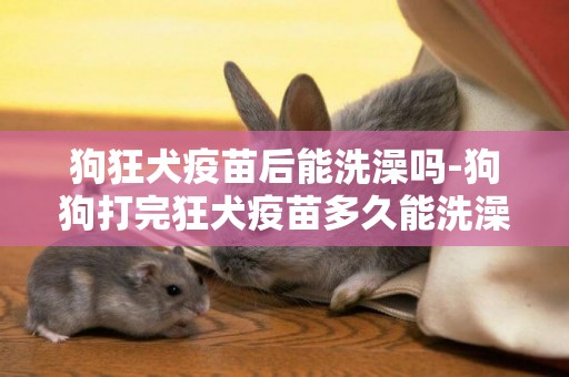 狗狂犬疫苗后能洗澡嗎-狗狗打完狂犬疫苗多久能洗澡