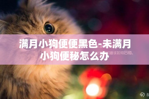 滿月小狗便便黑色-未滿月小狗便秘怎么辦