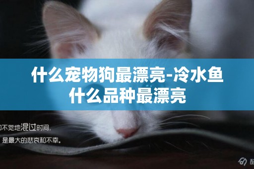 什么寵物狗最漂亮-冷水魚什么品種最漂亮