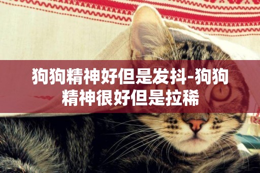 狗狗精神好但是發抖-狗狗精神很好但是拉稀