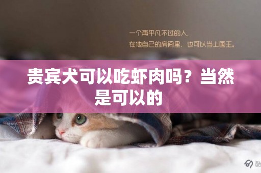 貴賓犬可以吃蝦肉嗎？當然是可以的 