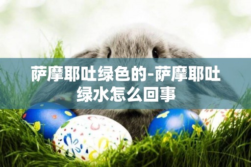 薩摩耶吐綠色的-薩摩耶吐綠水怎么回事