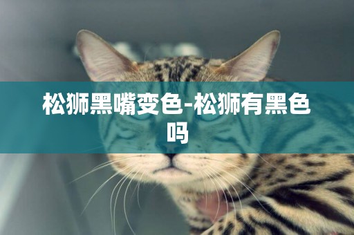 松獅黑嘴變色-松獅有黑色嗎