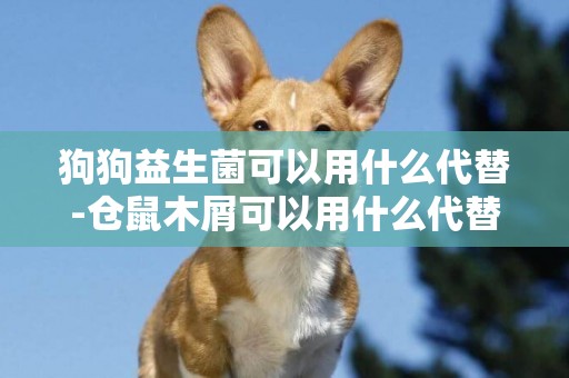 狗狗益生菌可以用什么代替-倉鼠木屑可以用什么代替