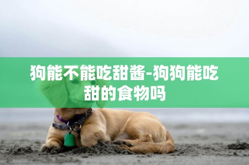 狗能不能吃甜醬-狗狗能吃甜的食物嗎