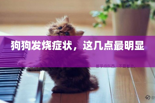 狗狗發燒癥狀，這幾點最明顯 