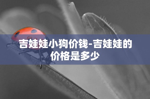 吉娃娃小狗價錢-吉娃娃的價格是多少