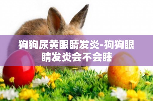 狗狗尿黃眼睛發炎-狗狗眼睛發炎會不會瞎