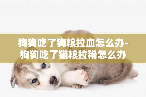 狗狗吃了狗糧拉血怎么辦-狗狗吃了貓糧拉稀怎么辦