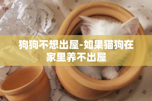 狗狗不想出屋-如果貓狗在家里養不出屋