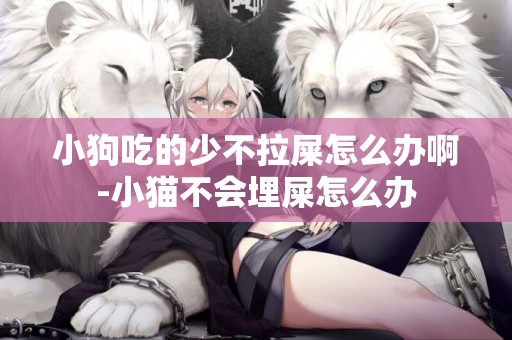 小狗吃的少不拉屎怎么辦啊-小貓不會埋屎怎么辦
