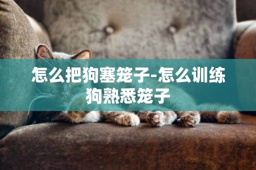 怎么把狗塞籠子-怎么訓練狗熟悉籠子