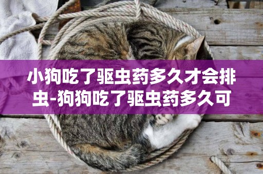 小狗吃了驅蟲藥多久才會排蟲-狗狗吃了驅蟲藥多久可以吃飯