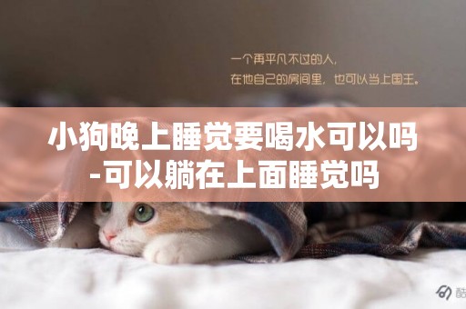 小狗晚上睡覺要喝水可以嗎-可以躺在上面睡覺嗎