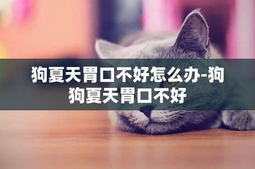 狗夏天胃口不好怎么辦-狗狗夏天胃口不好