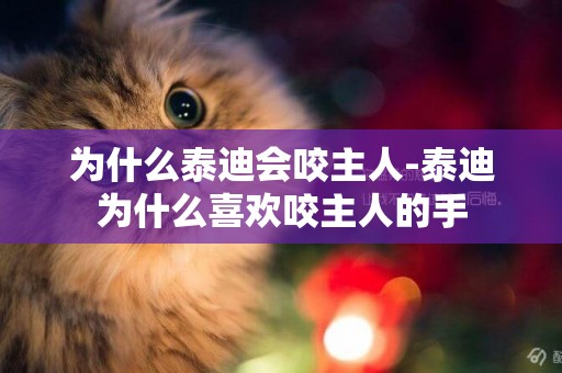 為什么泰迪會咬主人-泰迪為什么喜歡咬主人的手