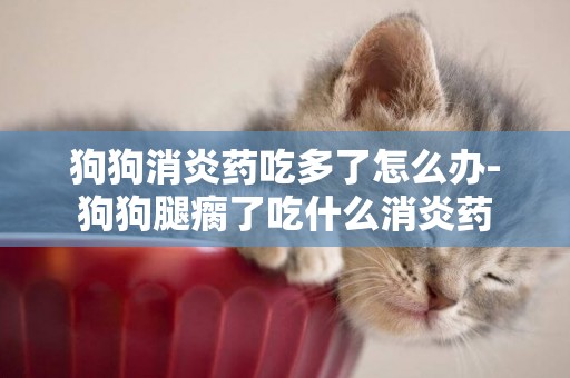 狗狗消炎藥吃多了怎么辦-狗狗腿瘸了吃什么消炎藥