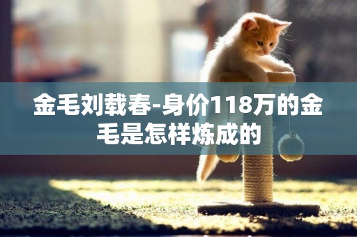 金毛劉載春-身價118萬的金毛是怎樣煉成的