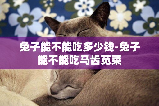兔子能不能吃多少錢-兔子能不能吃馬齒莧菜