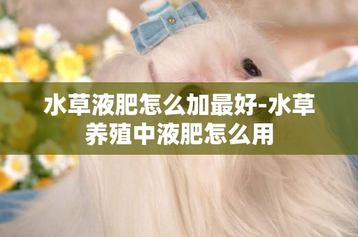 水草液肥怎么加最好-水草養殖中液肥怎么用
