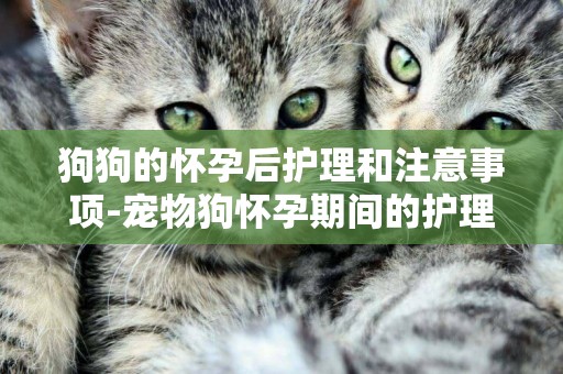 狗狗的懷孕后護理和注意事項-寵物狗懷孕期間的護理與注意事項