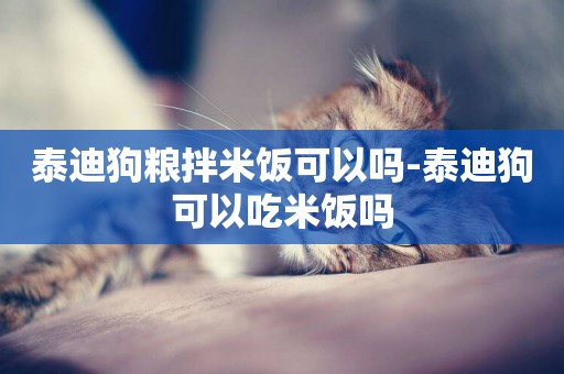 泰迪狗糧拌米飯可以嗎-泰迪狗可以吃米飯嗎