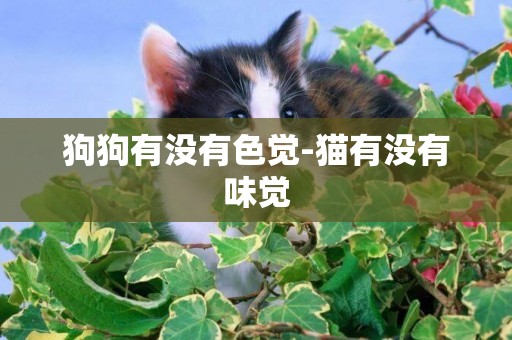 狗狗有沒有色覺-貓有沒有味覺