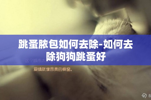 跳蚤膿包如何去除-如何去除狗狗跳蚤好
