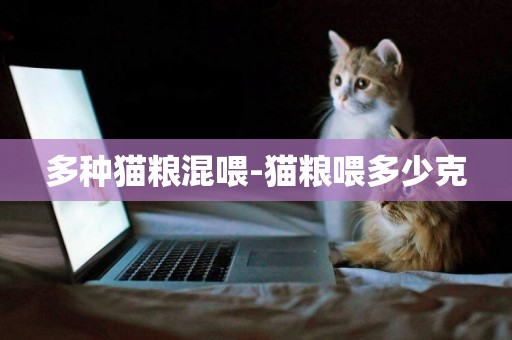 多種貓糧混喂-貓糧喂多少克