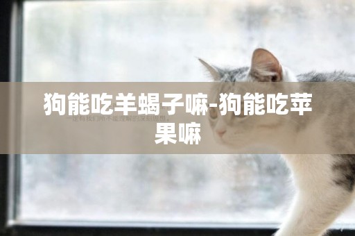 狗能吃羊蝎子嘛-狗能吃蘋果嘛