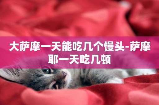 大薩摩一天能吃幾個饅頭-薩摩耶一天吃幾頓