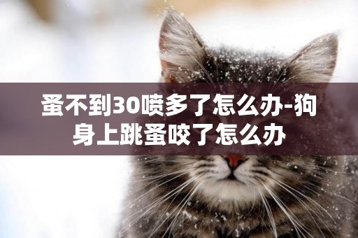 蚤不到30噴多了怎么辦-狗身上跳蚤咬了怎么辦