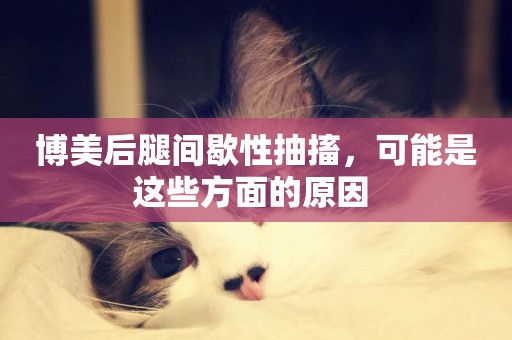 博美后腿間歇性抽搐，可能是這些方面的原因 