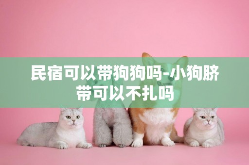 民宿可以帶狗狗嗎-小狗臍帶可以不扎嗎