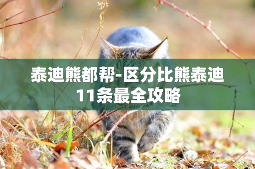 泰迪熊都幫-區分比熊泰迪11條最全攻略