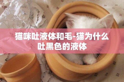 貓咪吐液體和毛-貓為什么吐黑色的液體
