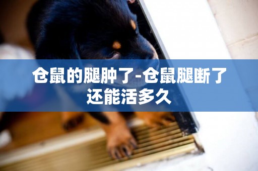 倉鼠的腿腫了-倉鼠腿斷了還能活多久
