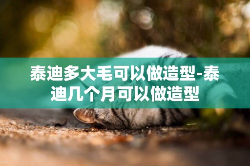 泰迪多大毛可以做造型-泰迪幾個月可以做造型