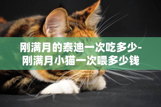 剛滿月的泰迪一次吃多少-剛滿月小貓一次喂多少錢