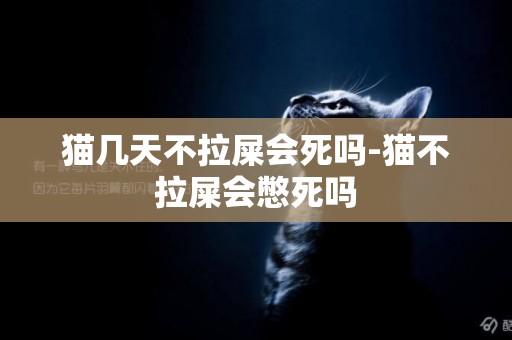 貓幾天不拉屎會死嗎-貓不拉屎會憋死嗎