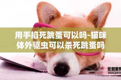 用手掐死跳蚤可以嗎-貓咪體外驅蟲可以殺死跳蚤嗎