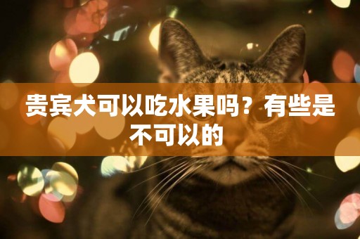 貴賓犬可以吃水果嗎？有些是不可以的 